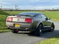 Ford Mustang GT 4.6 v8 Saleen Supercharged / 400+pk / jack rous Grau - thumbnail 4