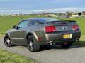 Ford Mustang GT 4.6 v8 Saleen Supercharged / 400+pk / jack rous Grau - thumbnail 3
