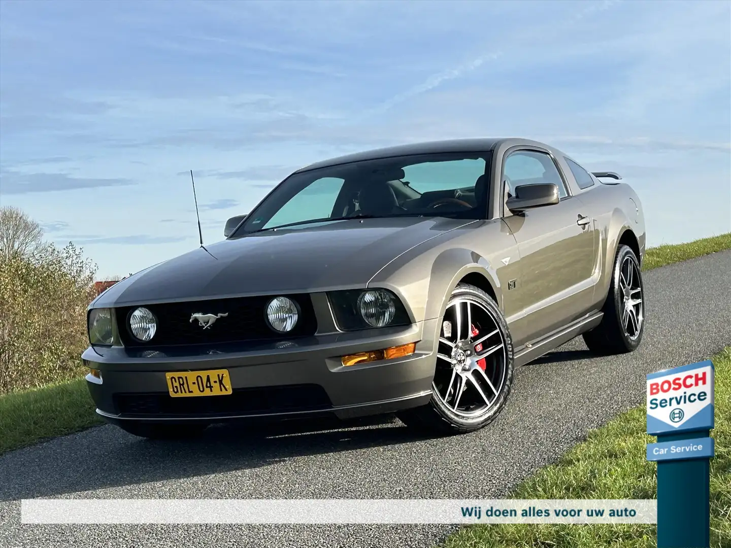 Ford Mustang GT 4.6 v8 Saleen Supercharged / 400+pk / jack rous Grau - 1