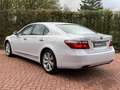 Lexus LS 600 600h Executive NIEUWE HYBRIDE ACCU twv 4.200 EURO Weiß - thumbnail 7