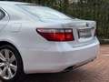 Lexus LS 600 600h Executive NIEUWE HYBRIDE ACCU twv 4.200 EURO Weiß - thumbnail 11