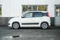 Fiat Panda 0.9 TwinAir Lounge | Nwe APK Wit - thumbnail 10