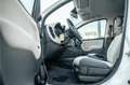 Fiat Panda 0.9 TwinAir Lounge | Nwe APK Wit - thumbnail 22