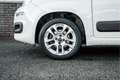 Fiat Panda 0.9 TwinAir Lounge | Nwe APK Wit - thumbnail 4
