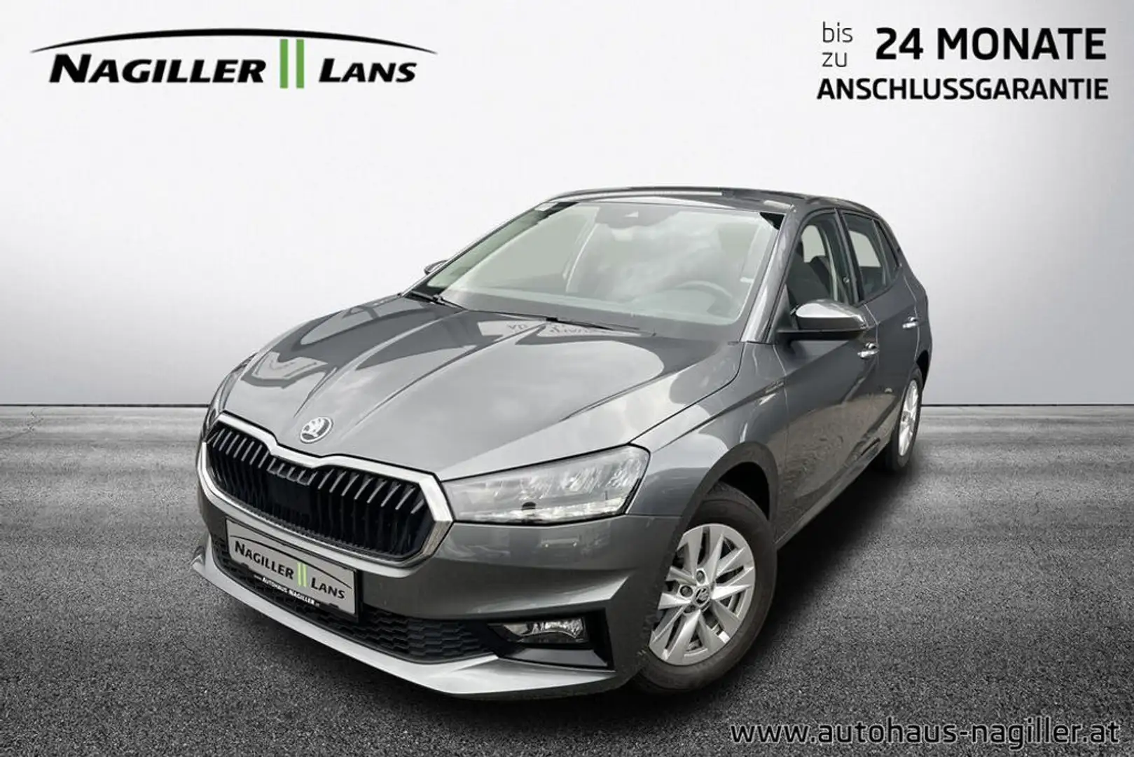 Skoda Fabia Selection TSI Grijs - 1