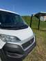 Fiat Ducato L2H1 130 multi jet - thumbnail 5