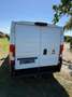 Fiat Ducato L2H1 130 multi jet - thumbnail 2
