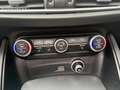 Alfa Romeo Stelvio 2.0 T AWD First Edition Rot - thumbnail 15