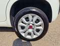 Fiat Panda 0.9 TwinAir Turbo Bianco - thumbnail 15