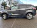 Ford Kuga EcoBoost ECO Business Class Grijs - thumbnail 9