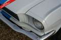 Ford Mustang PRICE REDUCTION! 289 Fastback Fully restored and m Weiß - thumbnail 16