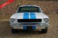 Ford Mustang PRICE REDUCTION! 289 Fastback Fully restored and m Weiß - thumbnail 22
