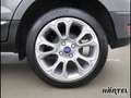 Ford EcoSport TITANIUM X 1.0 ECOBOOST AUTOMATIK Navi Grau - thumbnail 17