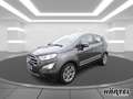 Ford EcoSport TITANIUM X 1.0 ECOBOOST AUTOMATIK Navi Grau - thumbnail 2