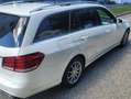 Mercedes-Benz E 200 E 200 T Avantgarde A-Edition CDI Aut.Avantgarde A-Edition Weiß - thumbnail 3
