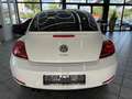 Volkswagen Beetle 1.4 TSI Design, 2.Hand, Leder, Panorama White - thumbnail 3