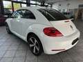 Volkswagen Beetle 1.4 TSI Design, 2.Hand, Leder, Panorama White - thumbnail 2