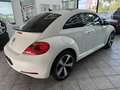 Volkswagen Beetle 1.4 TSI Design, 2.Hand, Leder, Panorama White - thumbnail 5