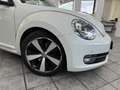 Volkswagen Beetle 1.4 TSI Design, 2.Hand, Leder, Panorama Blanco - thumbnail 21