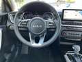Kia Ceed / cee'd 1.5T DCT / UPE: 34.550,- € / ULTIMATE EDIT.  STYLE Schwarz - thumbnail 13
