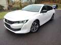 Peugeot 508 SW Hybrid 225 Allure Pack Blanco - thumbnail 3