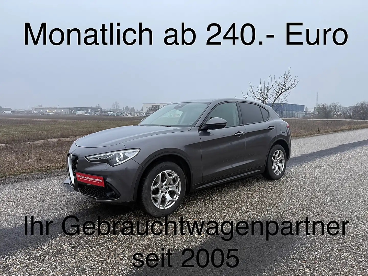 Alfa Romeo Stelvio Super 2,2 ATX AWD Grau - 1