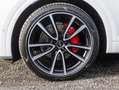 Audi Q5 Sportback Sportback S line 40 TDI quattro S tronic Weiß - thumbnail 7