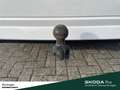 Skoda Octavia Combi Style 2.0 TDI DSG AHK NAVI HEAD UP Weiß - thumbnail 11
