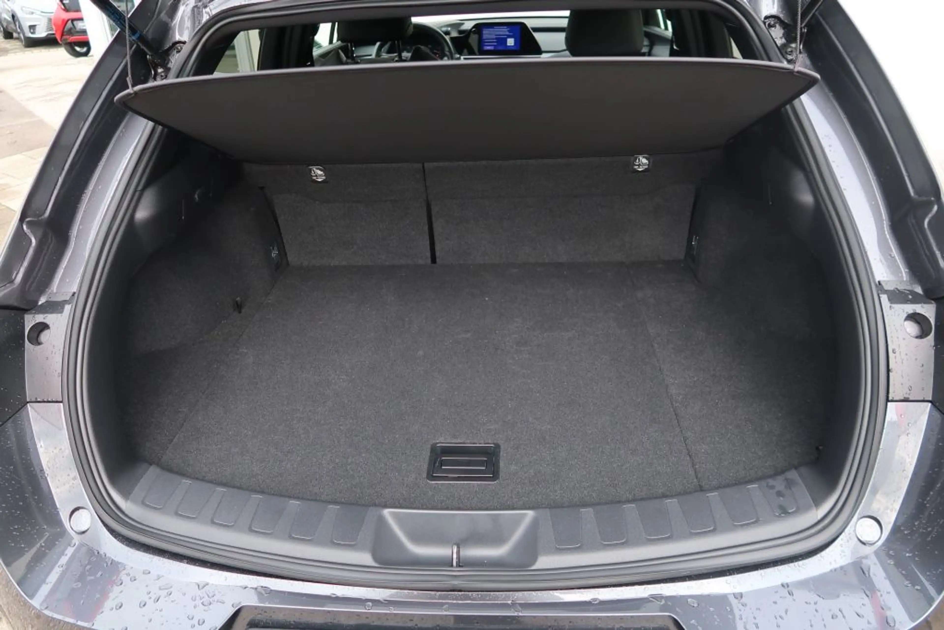 Lexus UX 250h F SPORT Design — photo 12