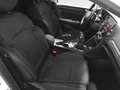 Renault Megane S.T. 1.5dCi Blue Business 85kW Blanco - thumbnail 13