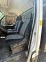 Iveco Daily Ribaltabile - thumbnail 5