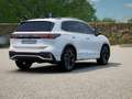 Volkswagen Tiguan 1.5 tsi ehybrid 204cv r-line plus dsg + CERCHI 20" - thumbnail 4