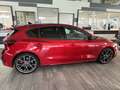 Ford Focus ST X Rot - thumbnail 4