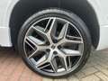 SEAT Ateca 1.5 TSI FR Business Intense / Suede bekleding / Ve Wit - thumbnail 12