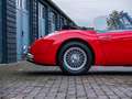 Austin-Healey 3000 MK2 BT7 Rot - thumbnail 6