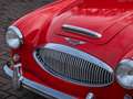 Austin-Healey 3000 MK2 BT7 Rot - thumbnail 9