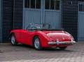 Austin-Healey 3000 MK2 BJ7 Rot - thumbnail 47
