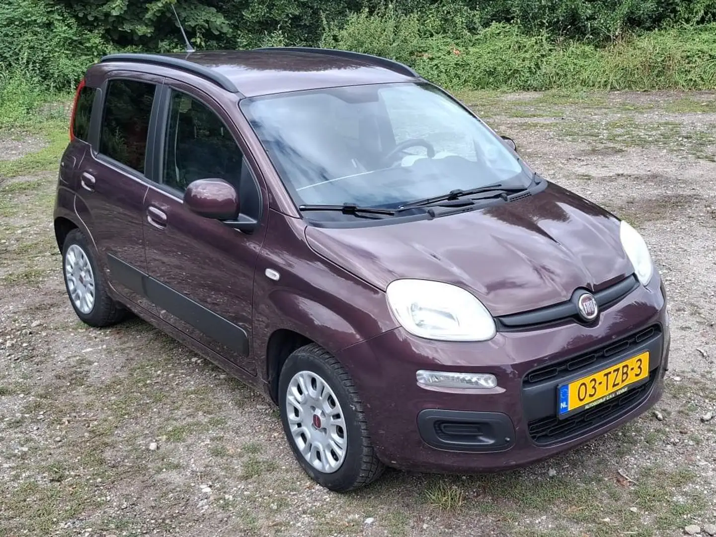 Fiat Panda Panda 0.9 TwinAir Lounge Violet - 1