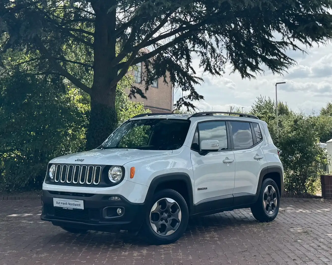 Jeep Renegade Longitude FWD|TFL|PDC|Klima|EURO6! Blanco - 1