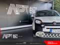 Fiat Panda Panda 1.2 City Cross s&s 69cv my19 Blanc - thumbnail 19