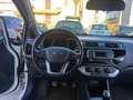 Kia Rio Rio 1.1 CRDi 5PSeS High Tech (55 kw) Bianco - thumbnail 14
