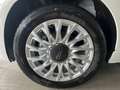 Fiat 500 1.0 DOLCEVITA Hybrid/15Z/TECH+PA/BICOLOR 51 kW ... Weiß - thumbnail 6