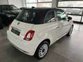 Fiat 500 1.0 DOLCEVITA Hybrid/15Z/TECH+PA/BICOLOR 51 kW ... Weiß - thumbnail 4