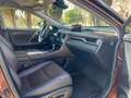 Lexus RX 300 Brun - thumbnail 20