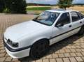 Opel Vectra 2000 16V Blanco - thumbnail 3