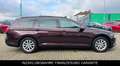 Volkswagen Passat Variant Comfortline NAVI PANO AHK PDC AHK Braun - thumbnail 4
