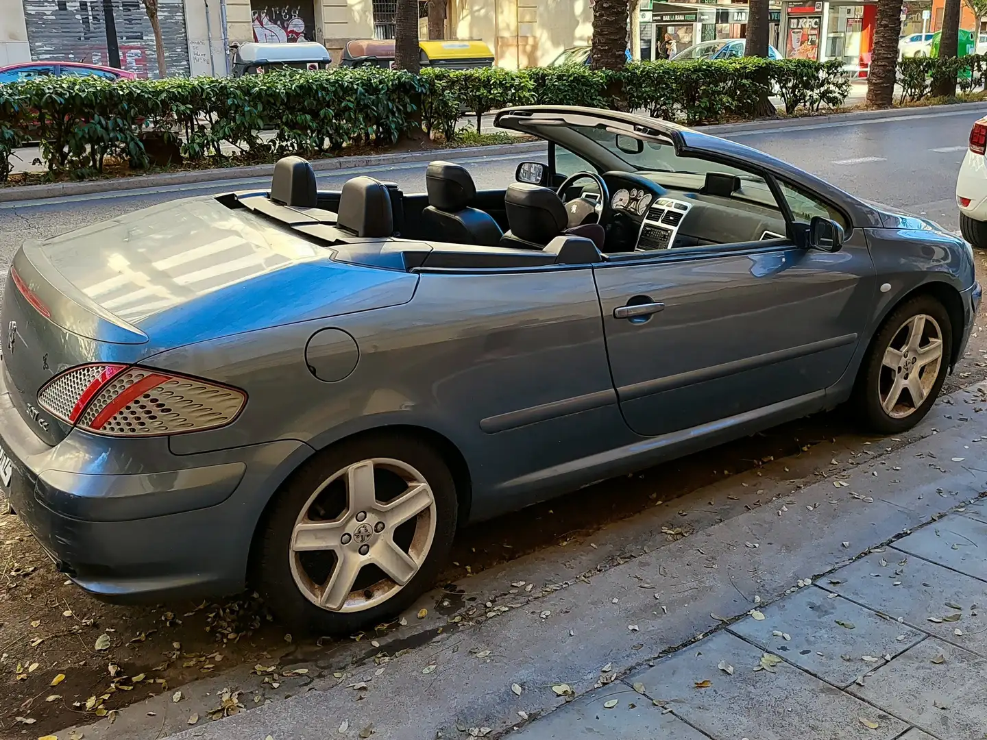 Peugeot 307 CC 2.0 Sport 180 Gris - 1