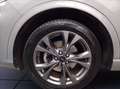 Ford Kuga 1.5 ecoblue ST-Line 2wd 120cv Grigio - thumbnail 15