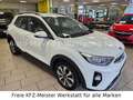 Kia Stonic 1.0 TGDI Vision Navi, Kamera, 1.Hd. Weiß - thumbnail 3