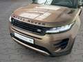 Land Rover Range Rover Evoque P250 R-dynamic SE 2.0 Park-Assistent Bronze - thumbnail 19
